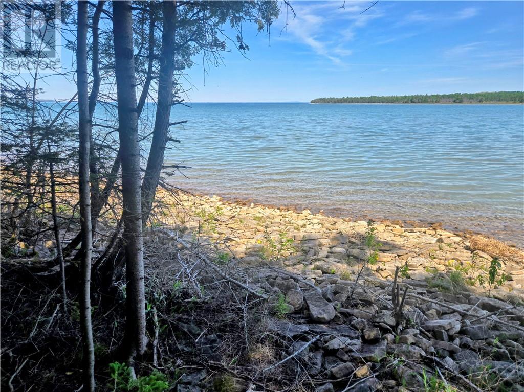 248 Whitetail Dr, Barrie Island, Ontario  P0P 1H0 - Photo 17 - 2128256