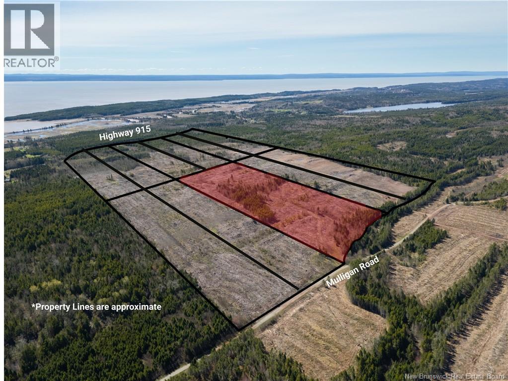 Lot 5 Route 915, Upper New Horton, New Brunswick  E4H 3T4 - Photo 4 - NB141454