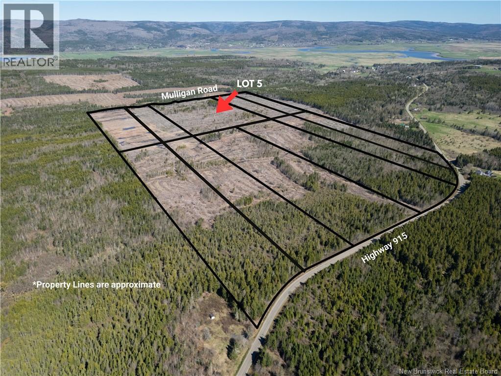 Lot 5 Route 915, Upper New Horton, New Brunswick  E4H 3T4 - Photo 5 - NB141454