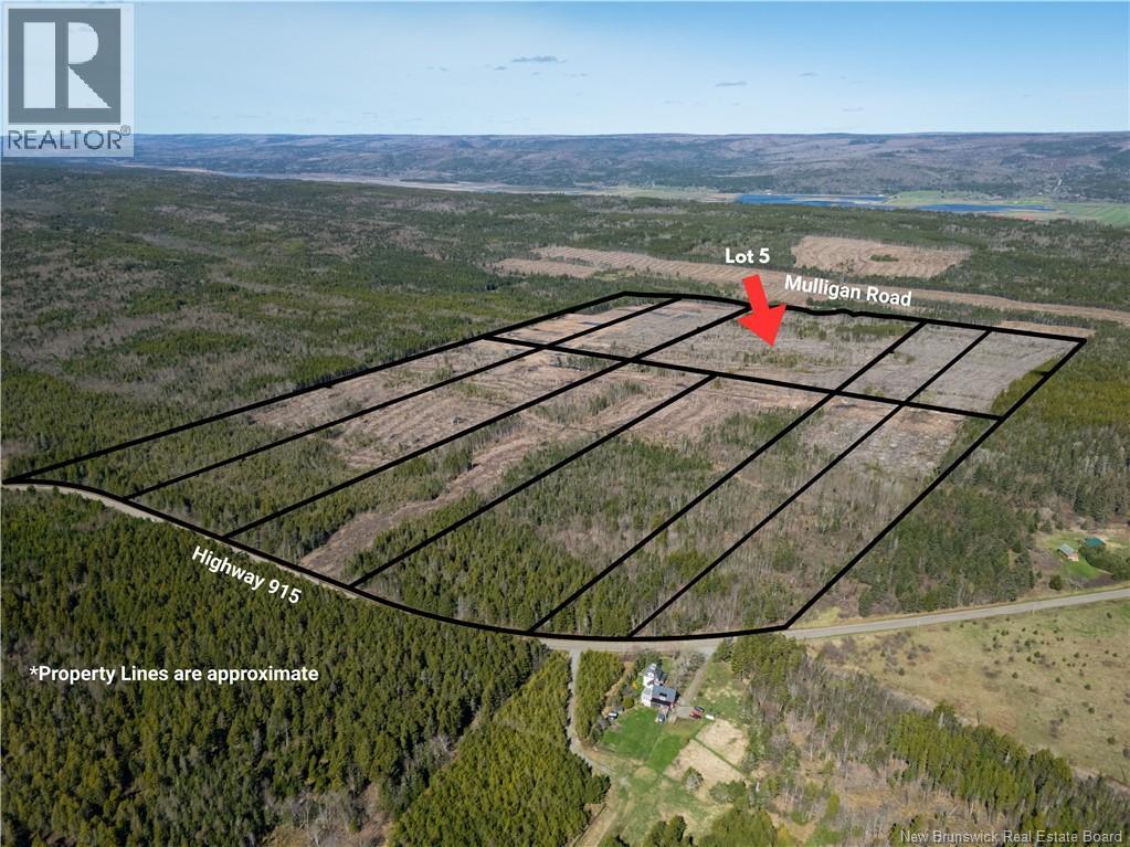 Lot 5 Route 915, Upper New Horton, New Brunswick  E4H 3T4 - Photo 7 - NB141454