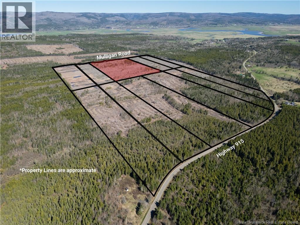 Lot 5 Route 915, Upper New Horton, New Brunswick  E4H 3T4 - Photo 6 - NB141454