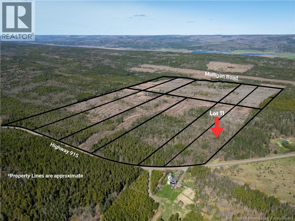 Lot 11 Route 915, Upper New Horton, New Brunswick  E4H 3T4 - Photo 7 - NB141529