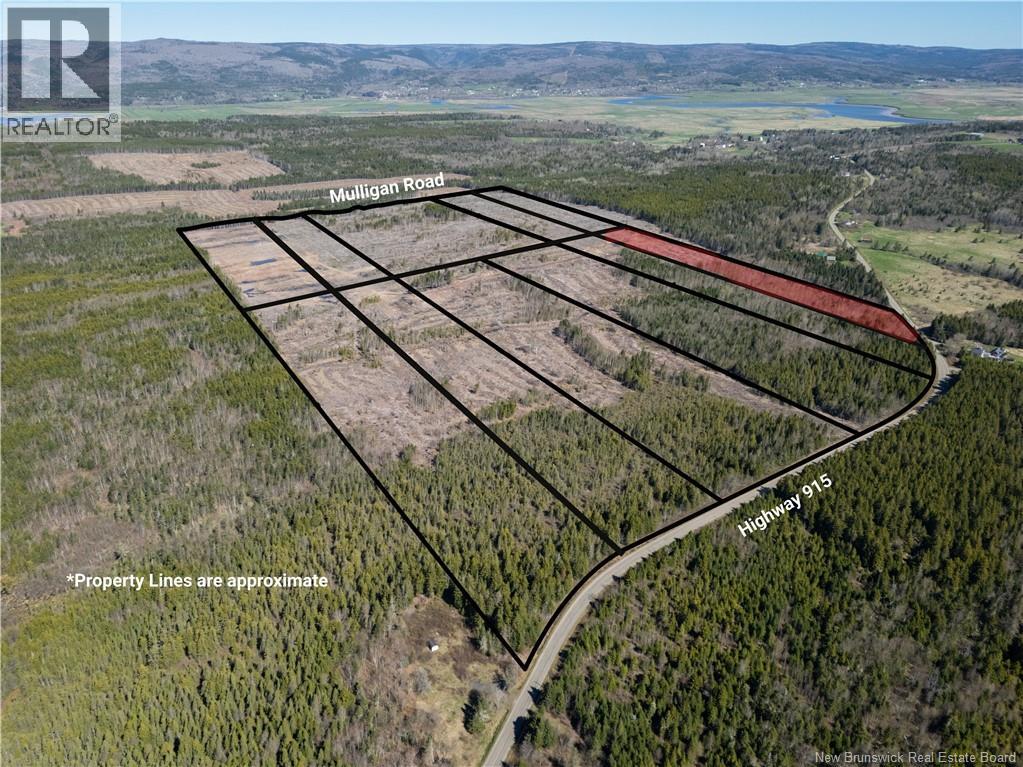 Lot 11 Route 915, Upper New Horton, New Brunswick  E4H 3T4 - Photo 6 - NB141529