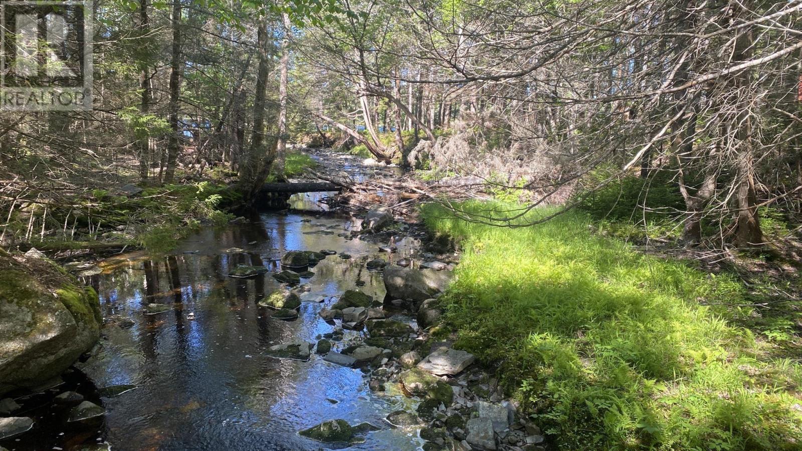 picture 41