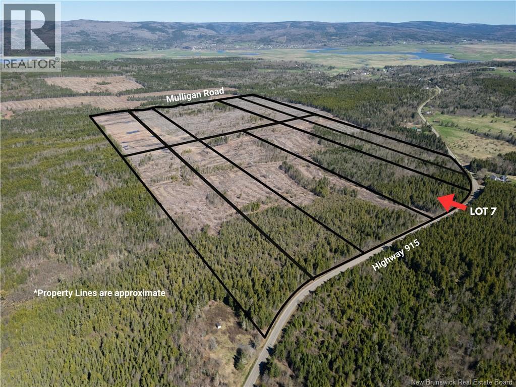 Lot 7 Route 915, Upper New Horton, New Brunswick  E4H 3T4 - Photo 5 - NB141535