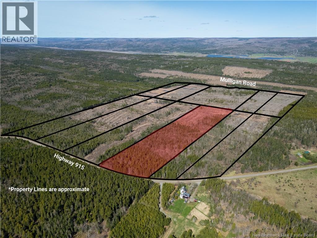 Lot 7 Route 915, Upper New Horton, New Brunswick  E4H 3T4 - Photo 8 - NB141535