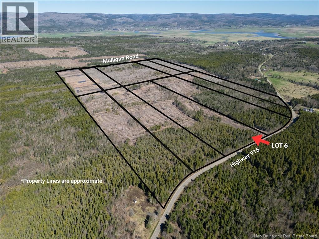 Lot 6 Route 915, Upper New Horton, New Brunswick  E3H 3T4 - Photo 5 - NB141533