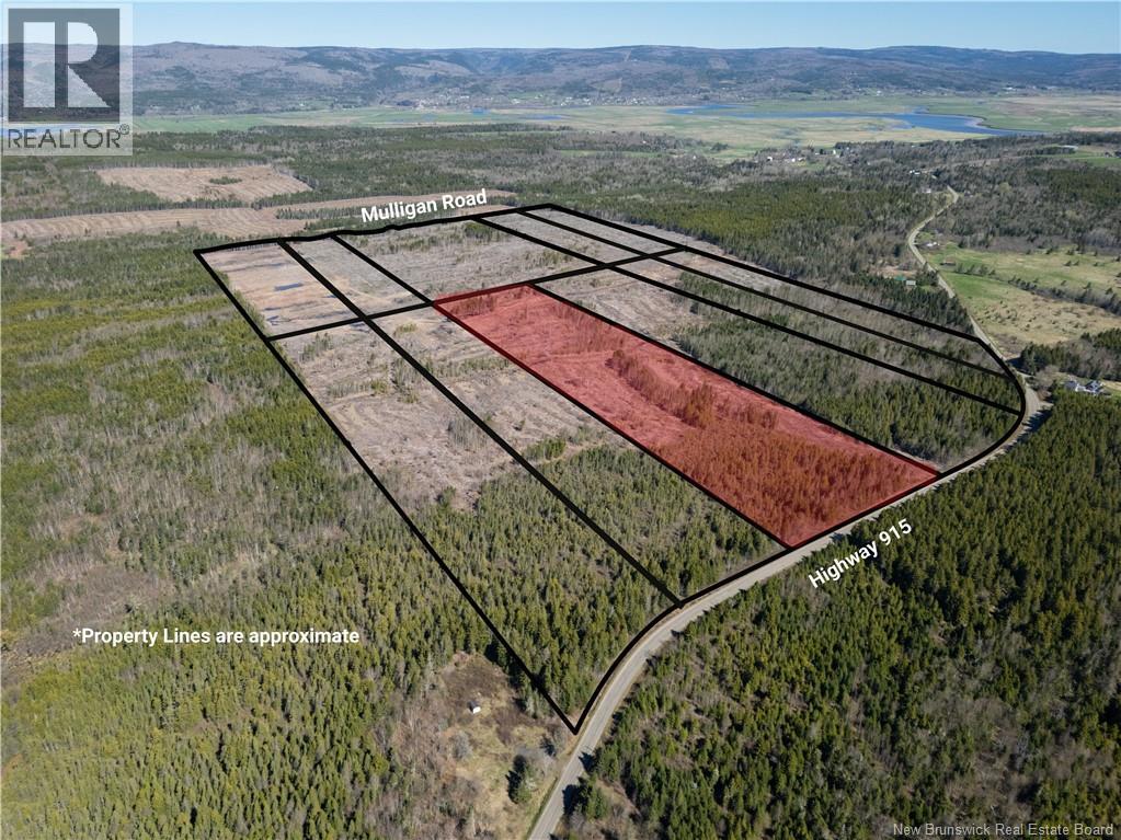 Lot 6 Route 915, Upper New Horton, New Brunswick  E3H 3T4 - Photo 6 - NB141533