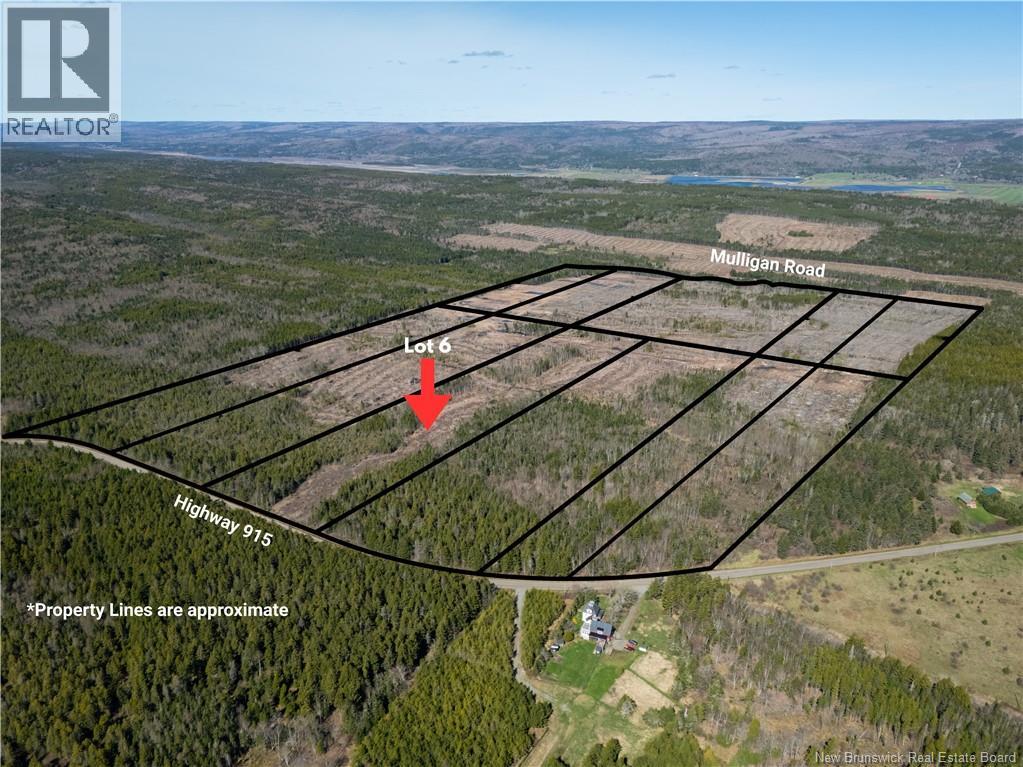 Lot 6 Route 915, Upper New Horton, New Brunswick  E3H 3T4 - Photo 7 - NB141533