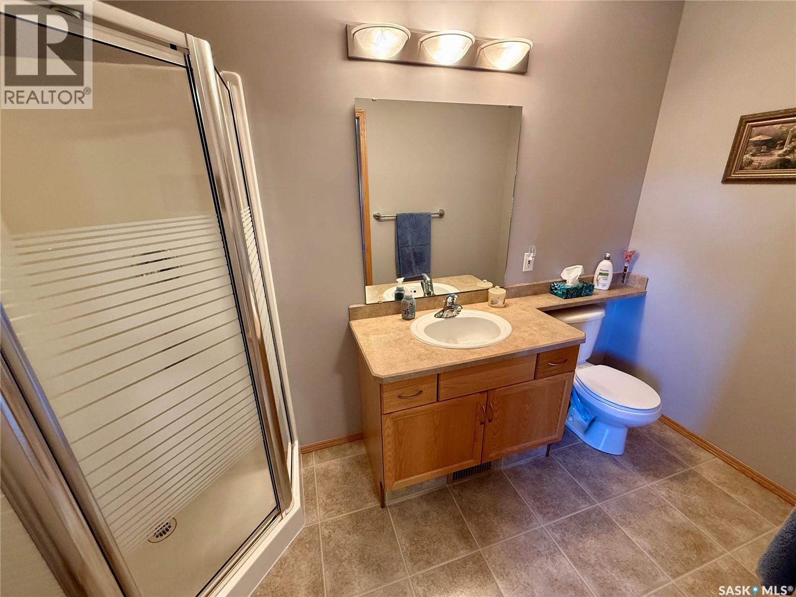 223 Mikkelson Drive, Regina, Saskatchewan  S4T 0A3 - Photo 21 - SK038805
