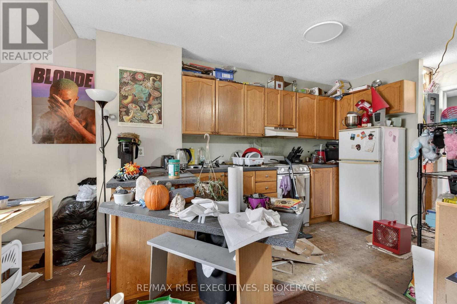 15 Montreal Street, Kingston, Ontario  K7L 3G7 - Photo 9 - X13421888