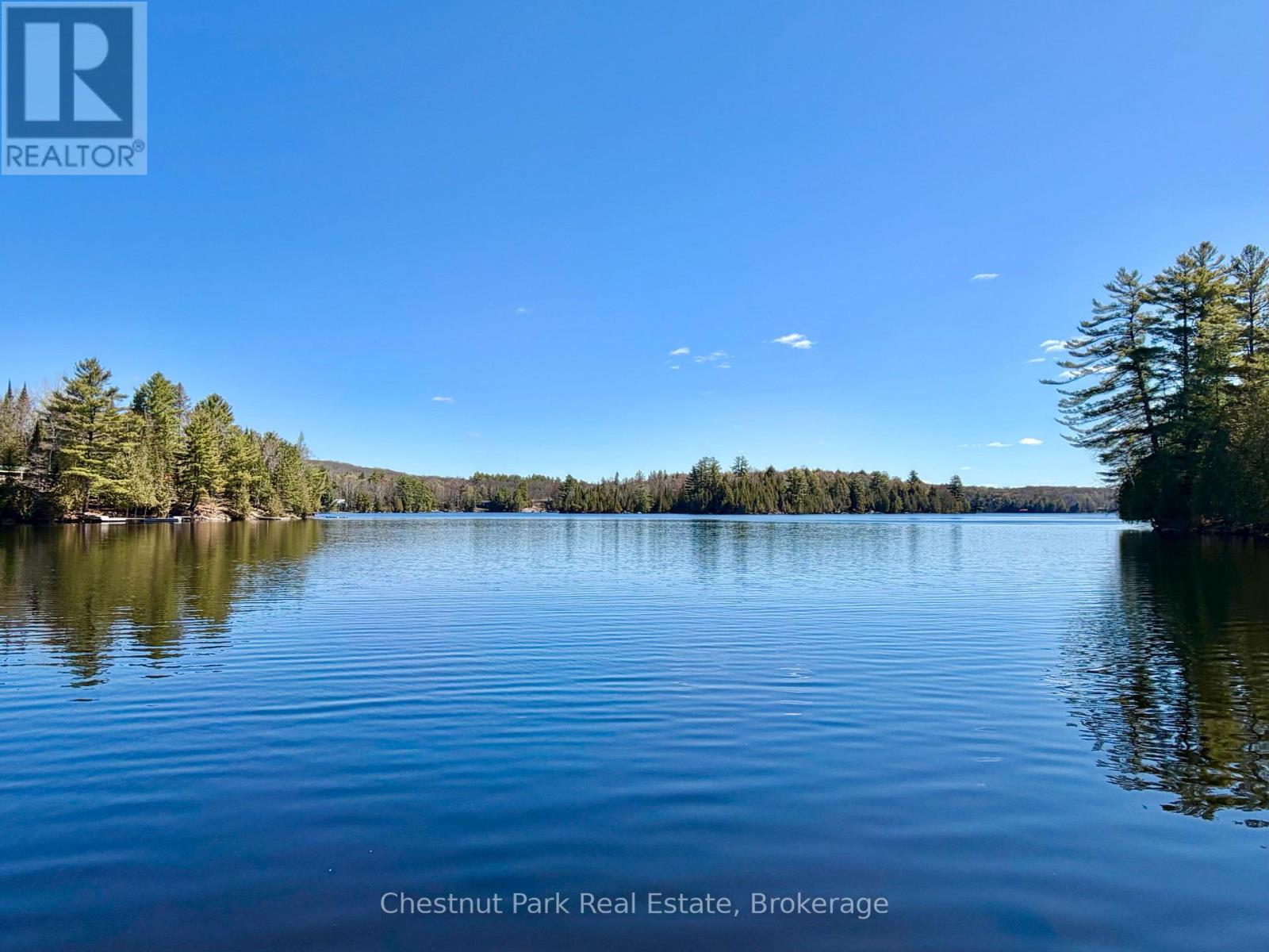 10453 County Road 503 Road, Highlands East, Ontario K0M 1R0 - Photo 11 - X13126940