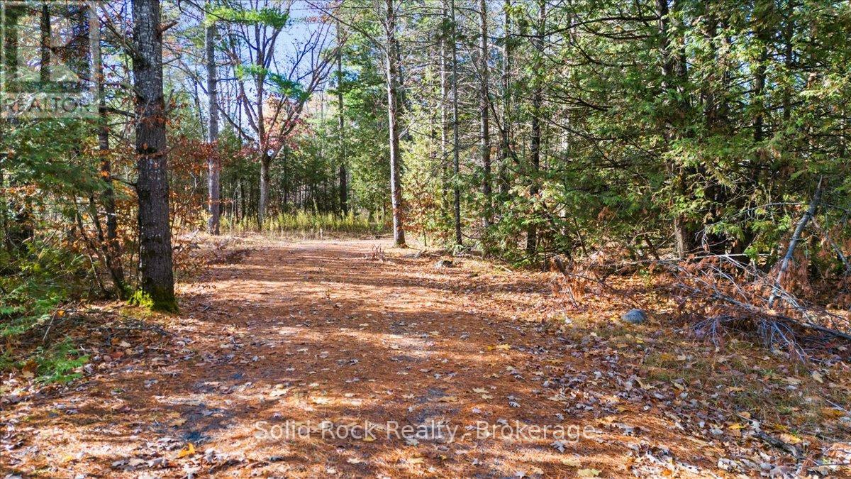 136 Glen Ridge Road, Marmora And Lake, Ontario  K0K 2M0 - Photo 12 - X13421788