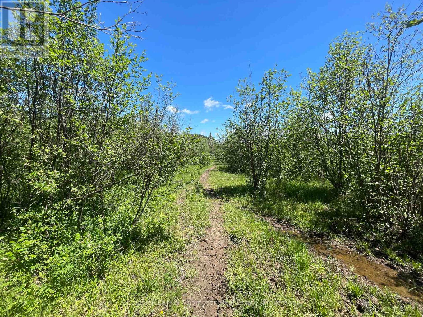 1202 Eagle Lake Road, Machar, Ontario P0A 1X0 - Photo 32 - X13421622
