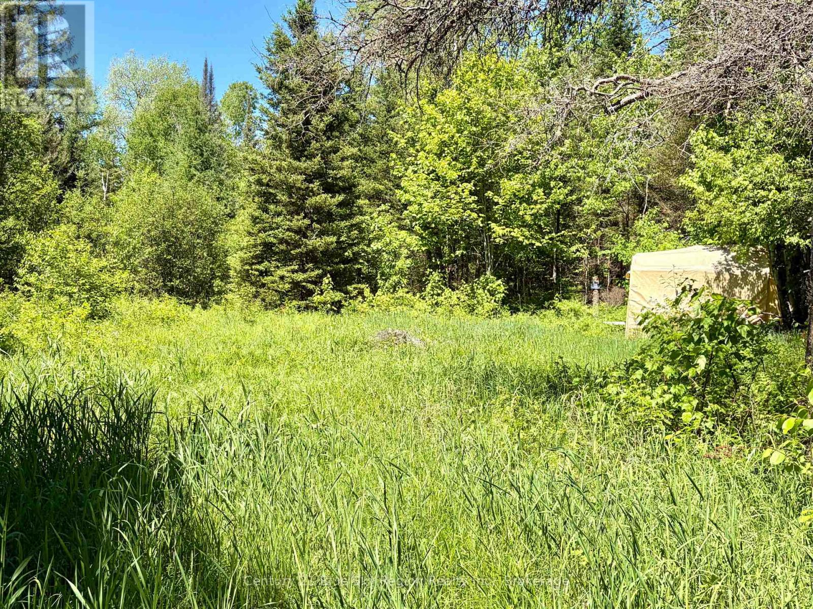 324 Proudfoot Road N, Joly, Ontario  P0A 1Z0 - Photo 22 - X13246808