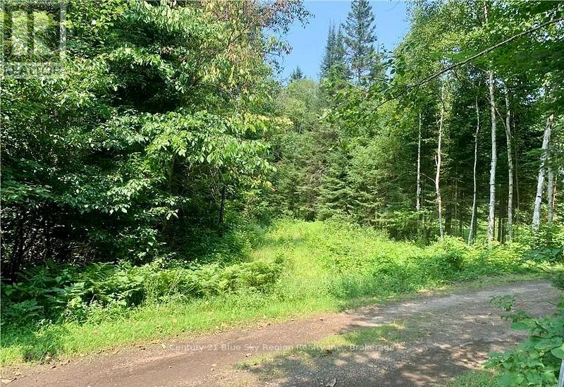 324 Proudfoot Road N, Joly, Ontario  P0A 1Z0 - Photo 4 - X13246808