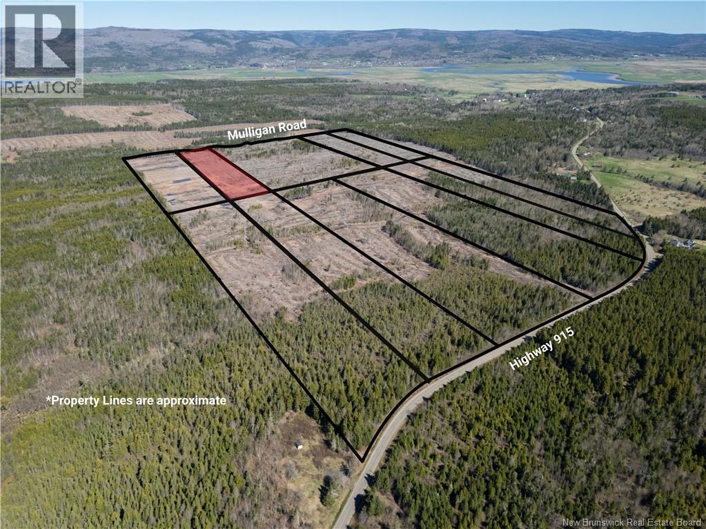 Lot 2 Route 915, Upper New Horton, New Brunswick  E4H 3T4 - Photo 6 - NB141516