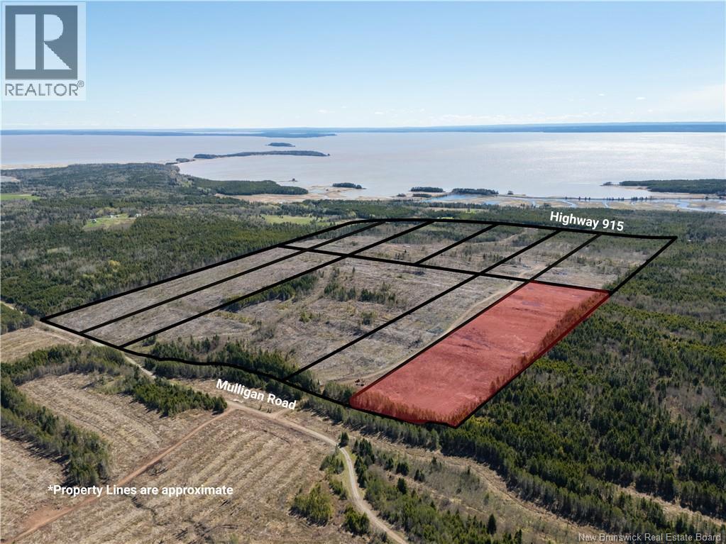 Lot 1 Route 915, Upper New Horton, New Brunswick  E4H 3T4 - Photo 4 - NB141453
