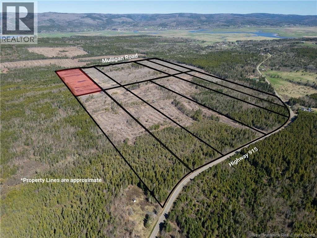 Lot 1 Route 915, Upper New Horton, New Brunswick  E4H 3T4 - Photo 6 - NB141453