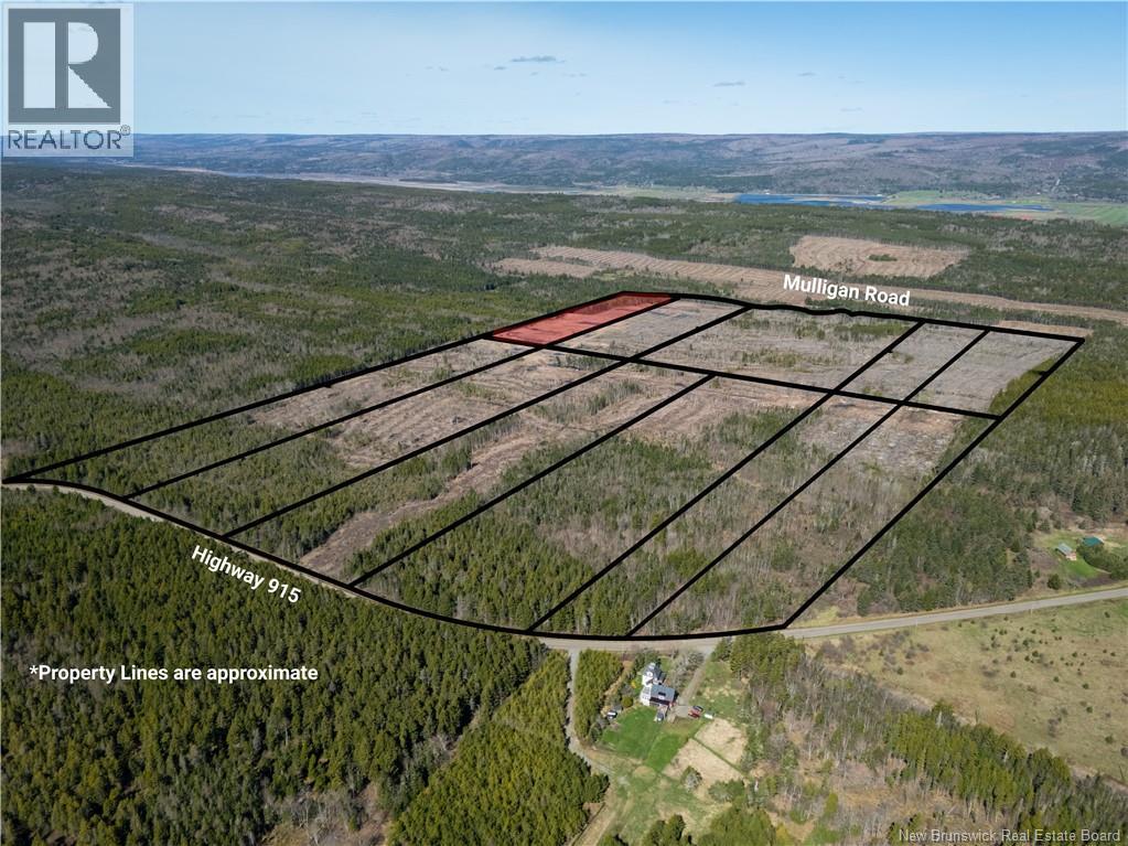 Lot 1 Route 915, Upper New Horton, New Brunswick  E4H 3T4 - Photo 8 - NB141453