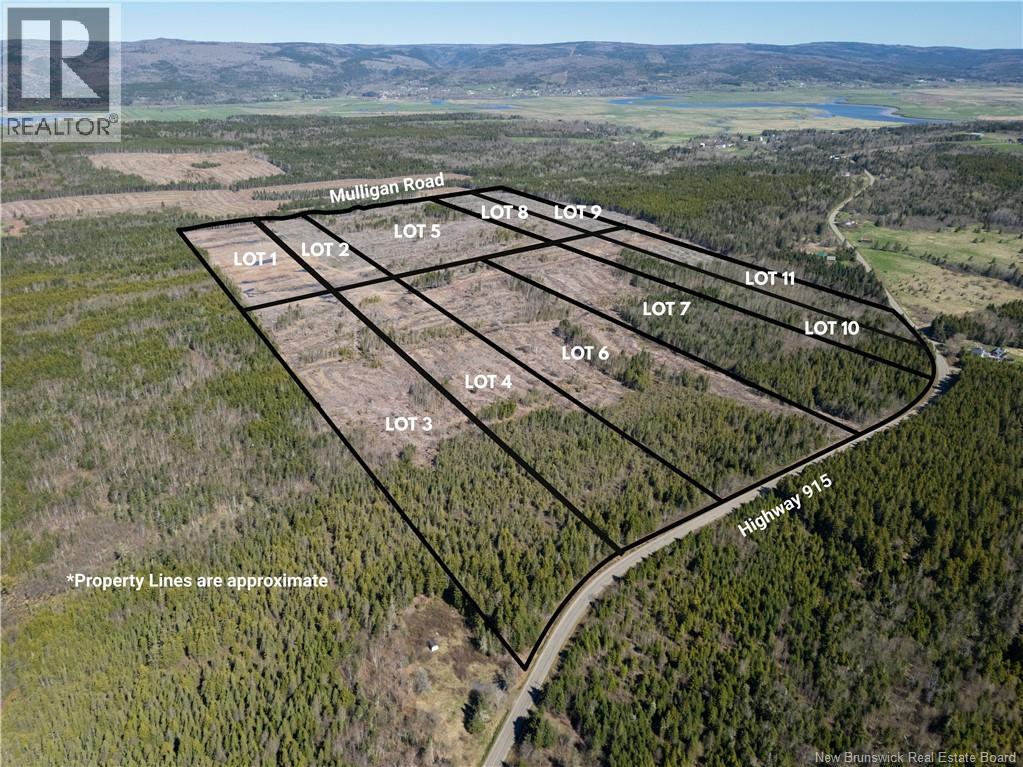 Lot 2 Route 915, Upper New Horton, New Brunswick  E4H 3T4 - Photo 11 - NB141516