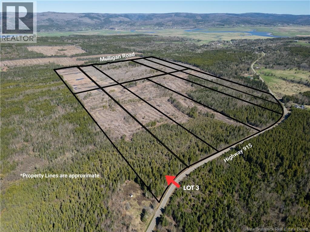 Lot 3 Route 915, Upper New Horton, New Brunswick  E4H 3T4 - Photo 5 - NB141518