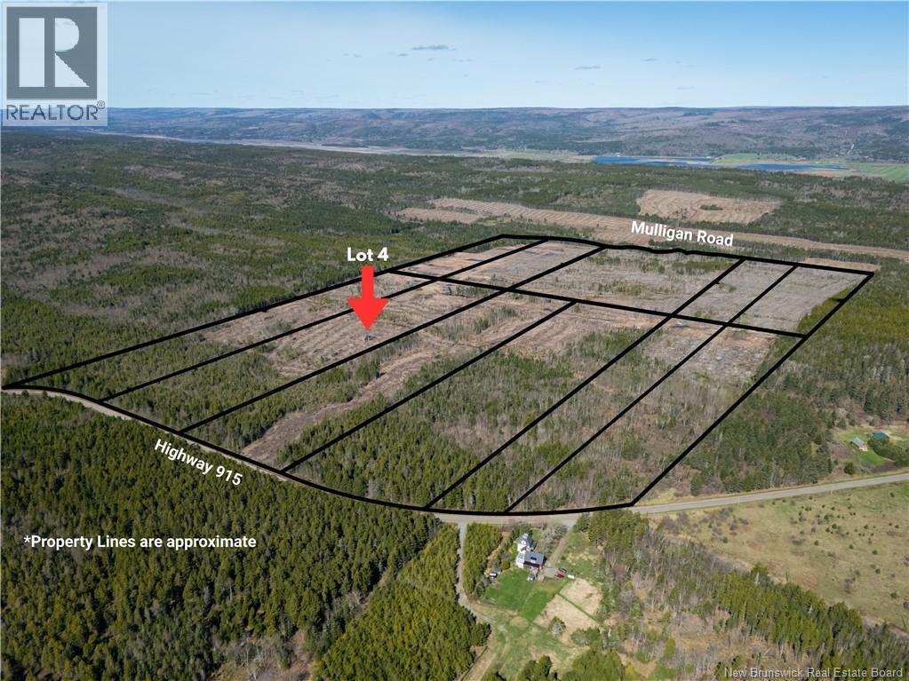 Lot 4 Route 915, Upper New Horton, New Brunswick  E4H 3T4 - Photo 7 - NB141521