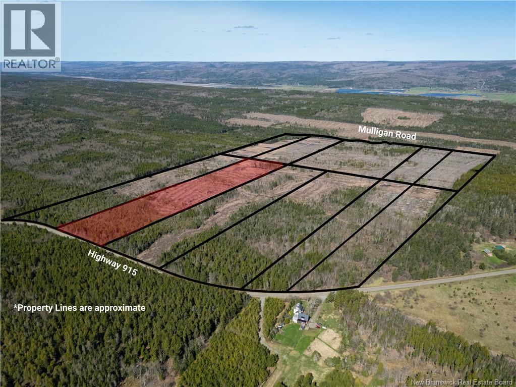 Lot 4 Route 915, Upper New Horton, New Brunswick  E4H 3T4 - Photo 8 - NB141521