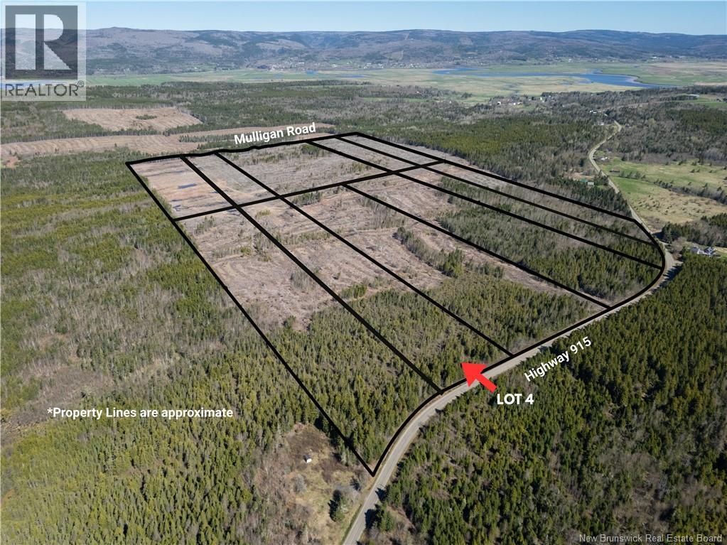 Lot 4 Route 915, Upper New Horton, New Brunswick  E4H 3T4 - Photo 5 - NB141521