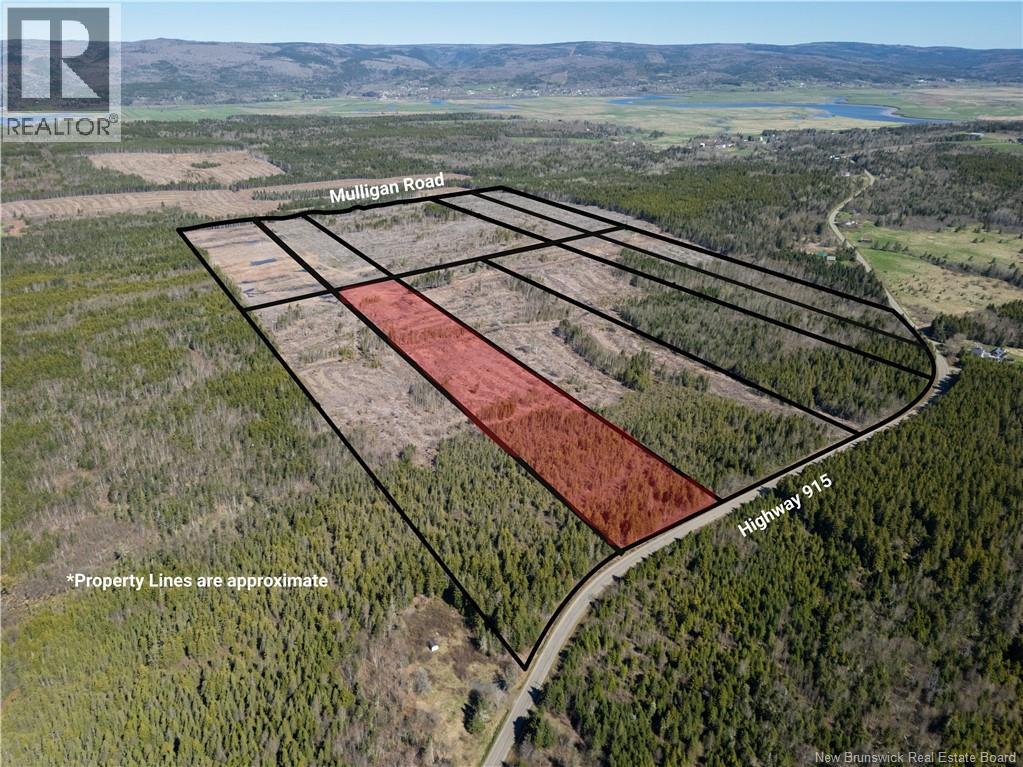 Lot 4 Route 915, Upper New Horton, New Brunswick  E4H 3T4 - Photo 6 - NB141521