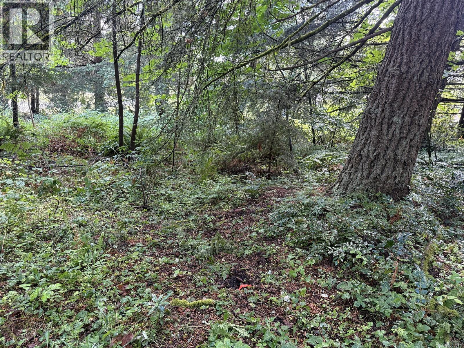 Part Dl106 Grouhel Rd, Ladysmith, British Columbia  V9G 1J5 - Photo 2 - 1039911