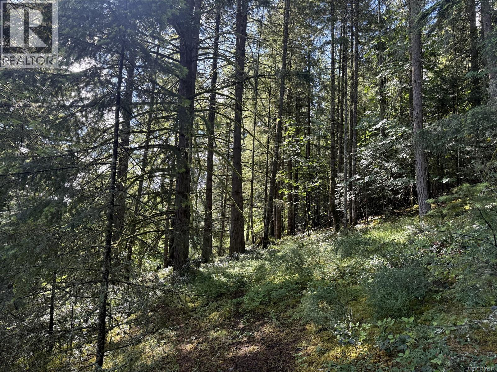 Part Dl106 Grouhel Rd, Ladysmith, British Columbia  V9G 1J5 - Photo 4 - 1039911