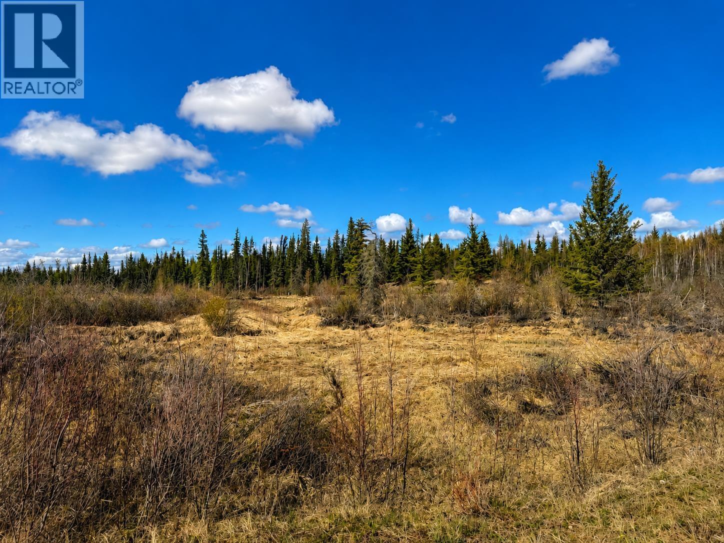 SE 1/4 Sec 27 211 Road, Goodlow, British Columbia  V0C 1S0 - Photo 5 - R3126011