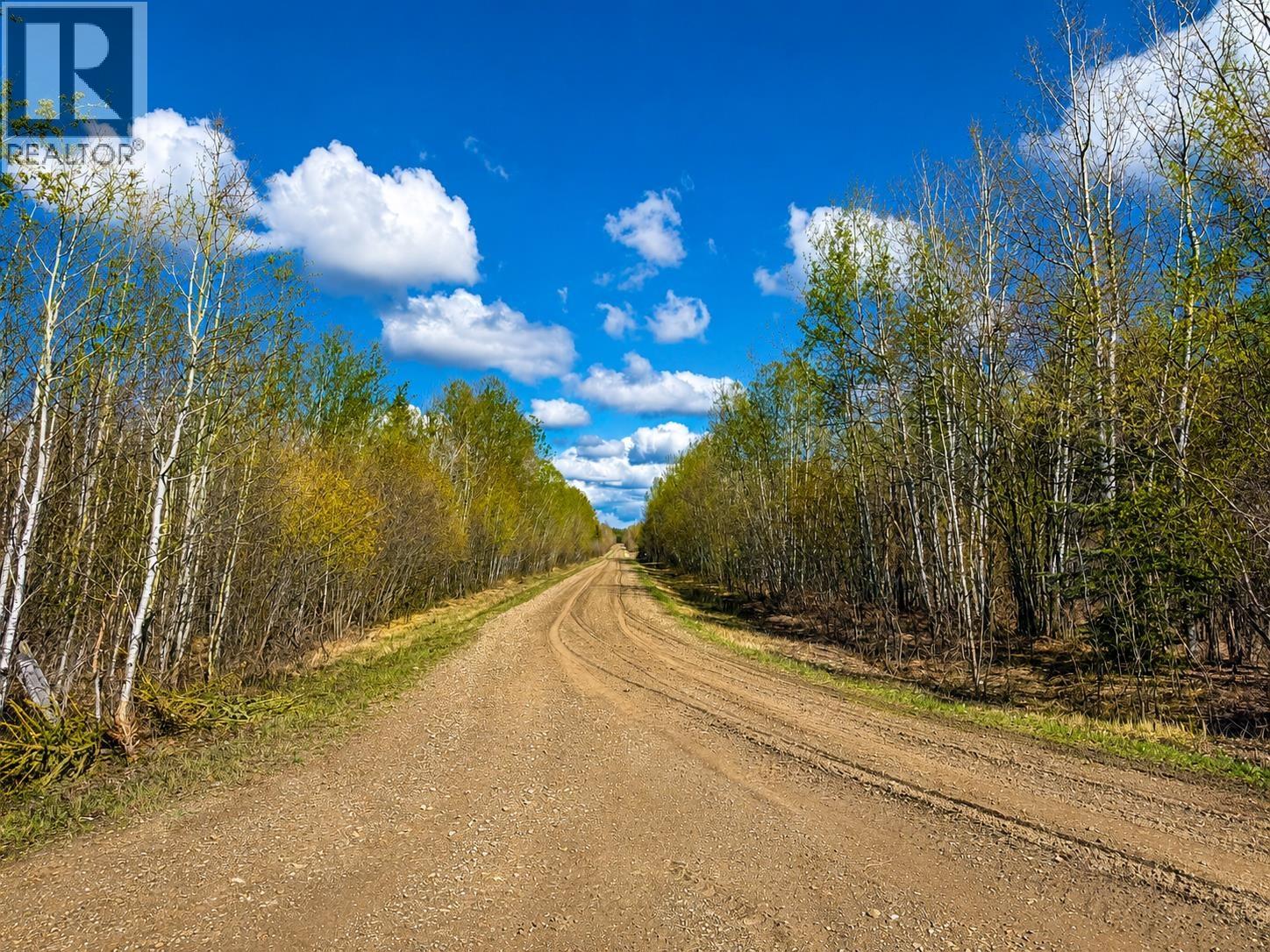 SE 1/4 Sec 27 211 Road, Goodlow, British Columbia  V0C 1S0 - Photo 3 - R3126011