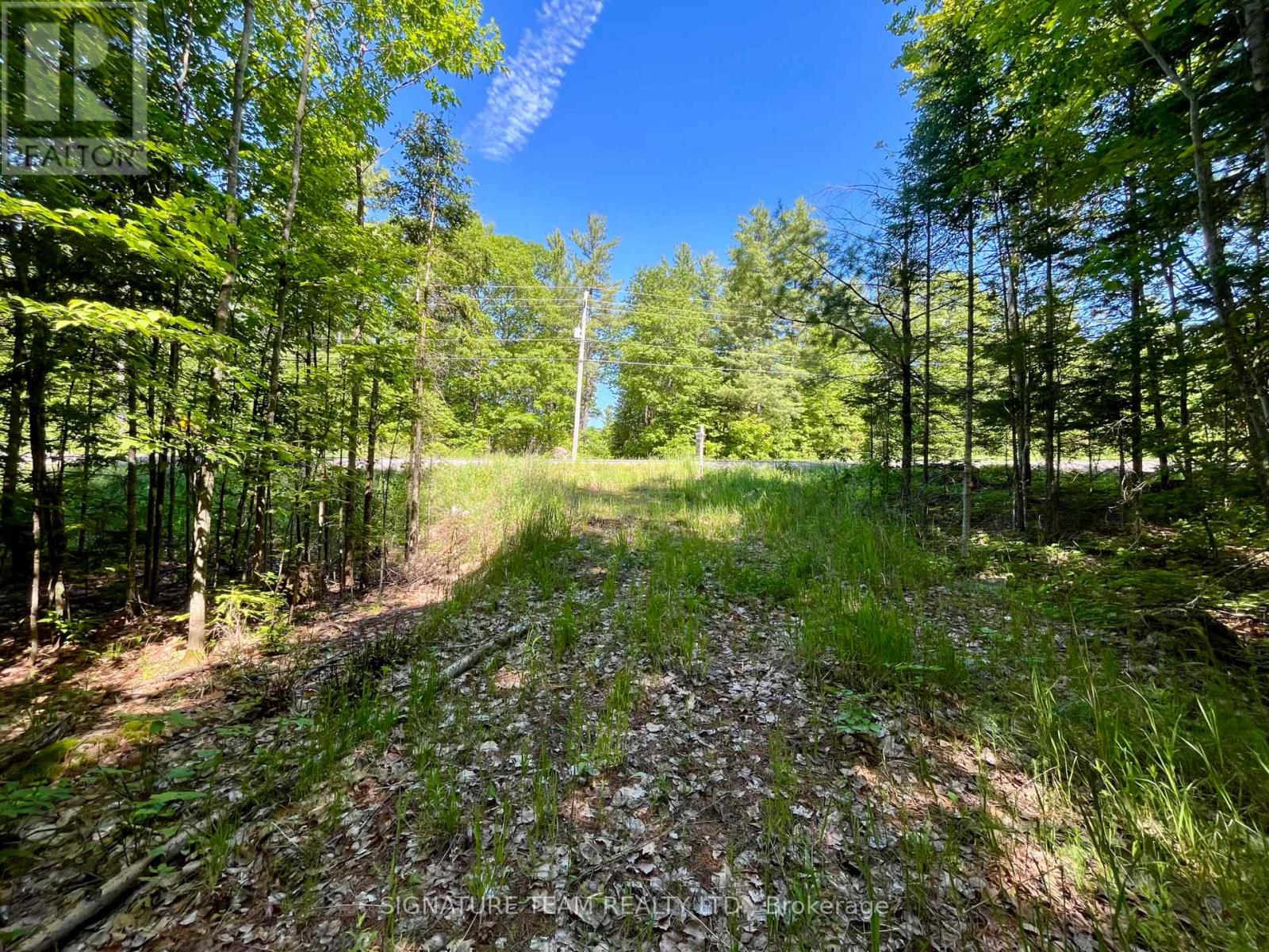 0 Foymount Road, Bonnechere Valley, Ontario  K0J 1T0 - Photo 5 - X13067306
