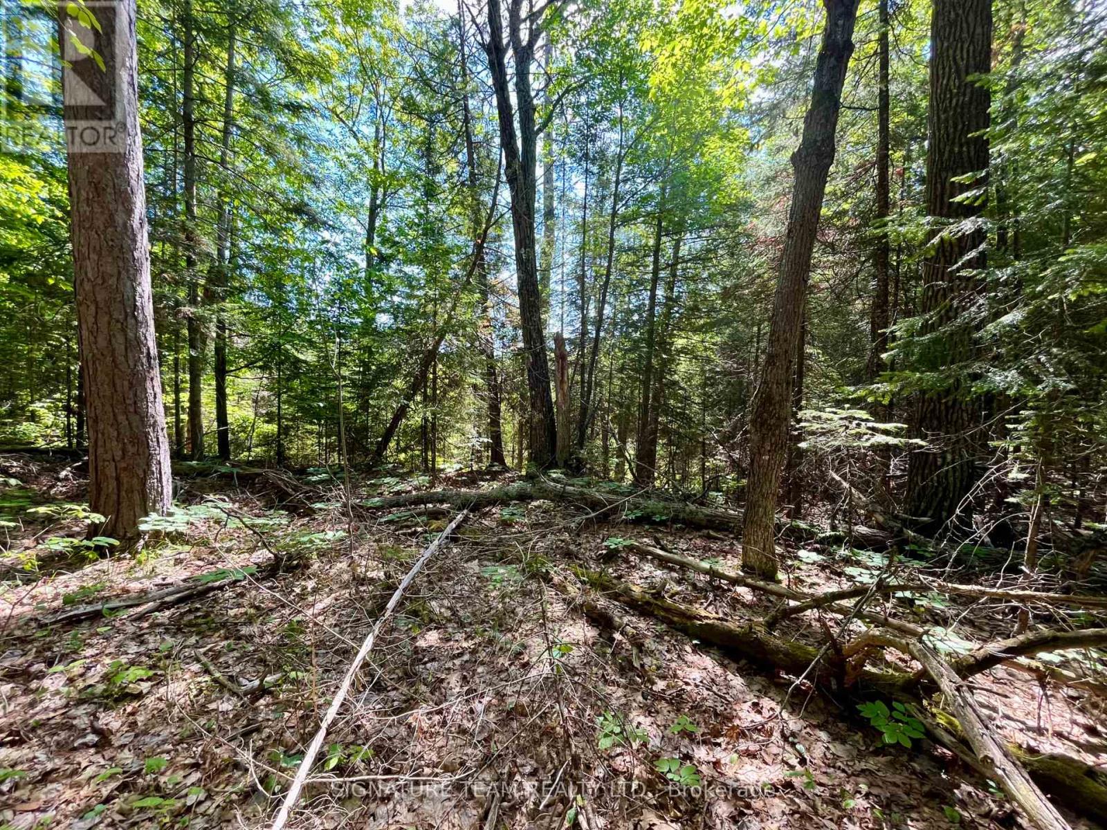 0 Foymount Road, Bonnechere Valley, Ontario  K0J 1T0 - Photo 11 - X13067306