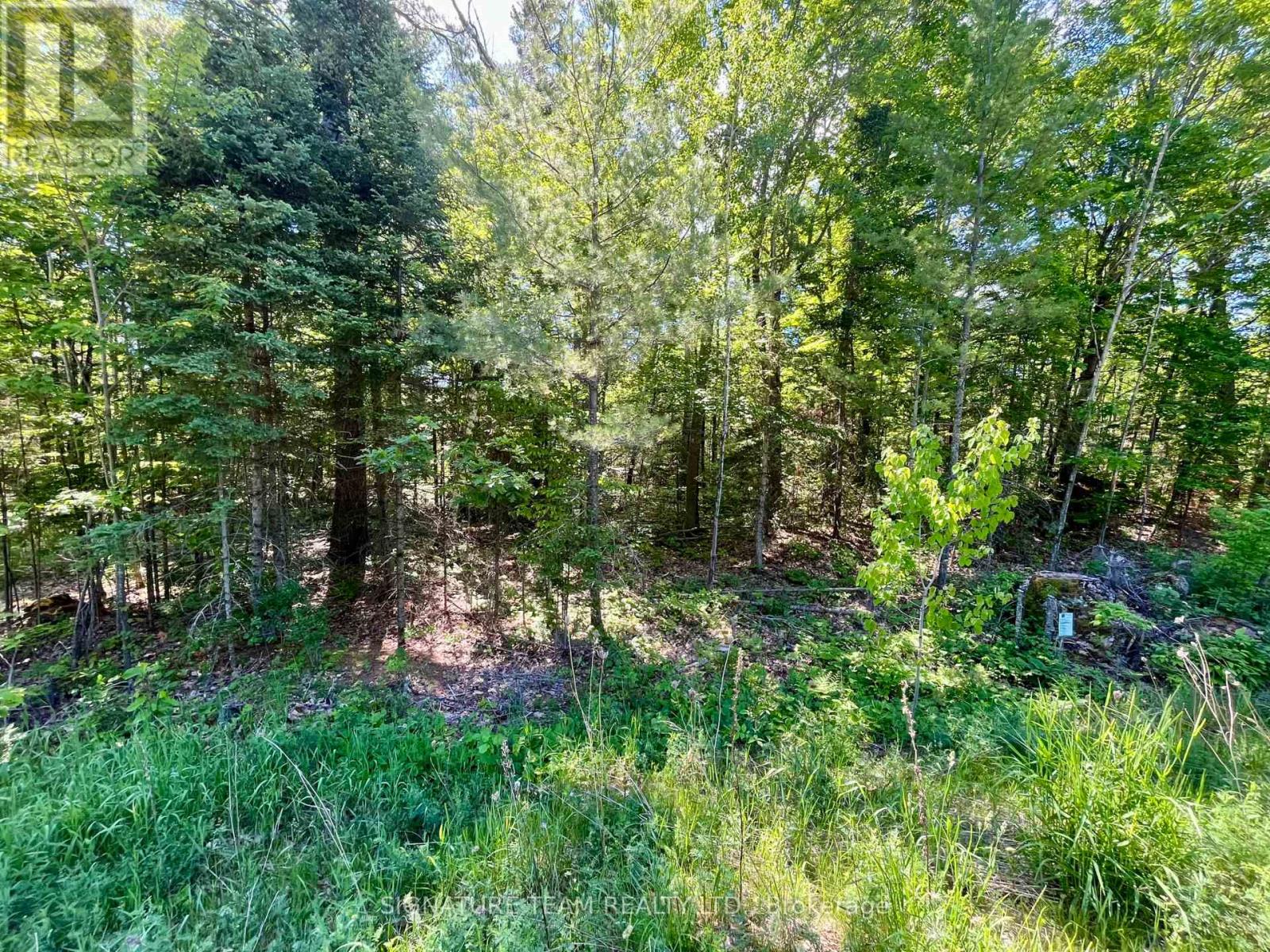 0 Foymount Road, Bonnechere Valley, Ontario  K0J 1T0 - Photo 4 - X13067306