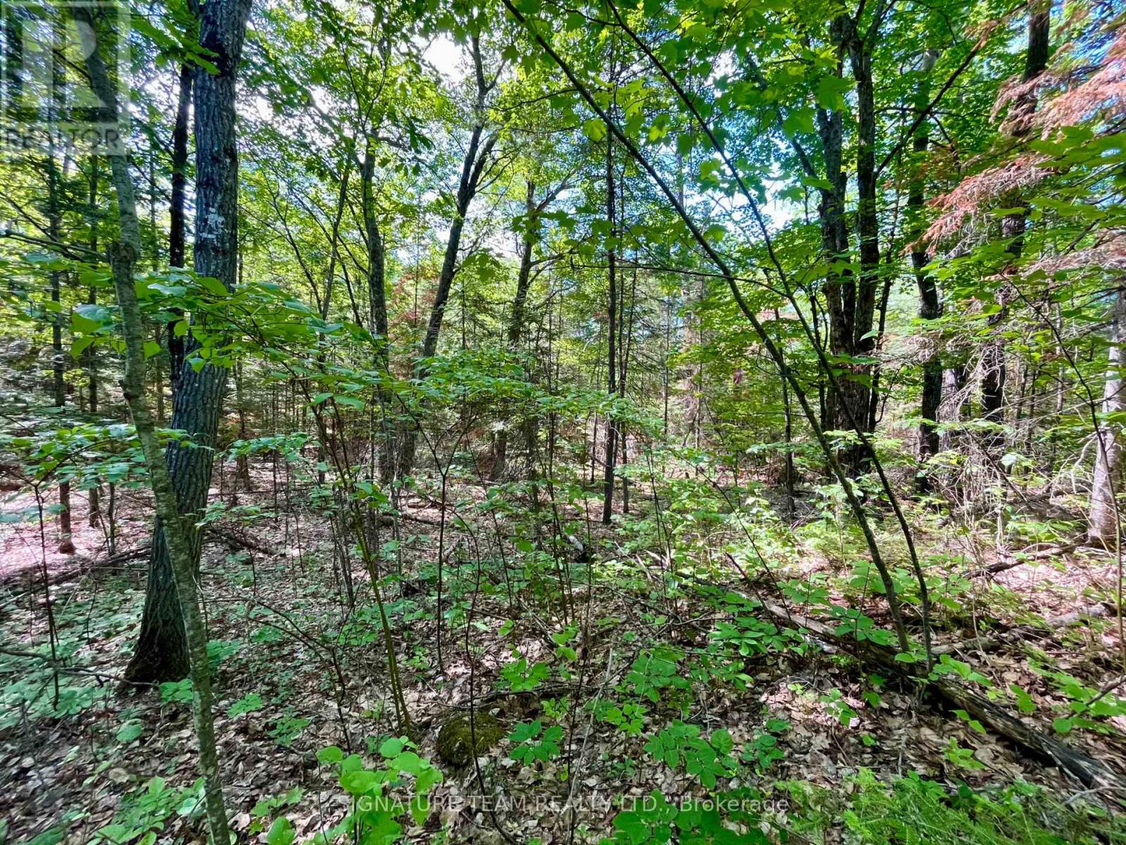0 Foymount Road, Bonnechere Valley, Ontario  K0J 1T0 - Photo 15 - X13067306