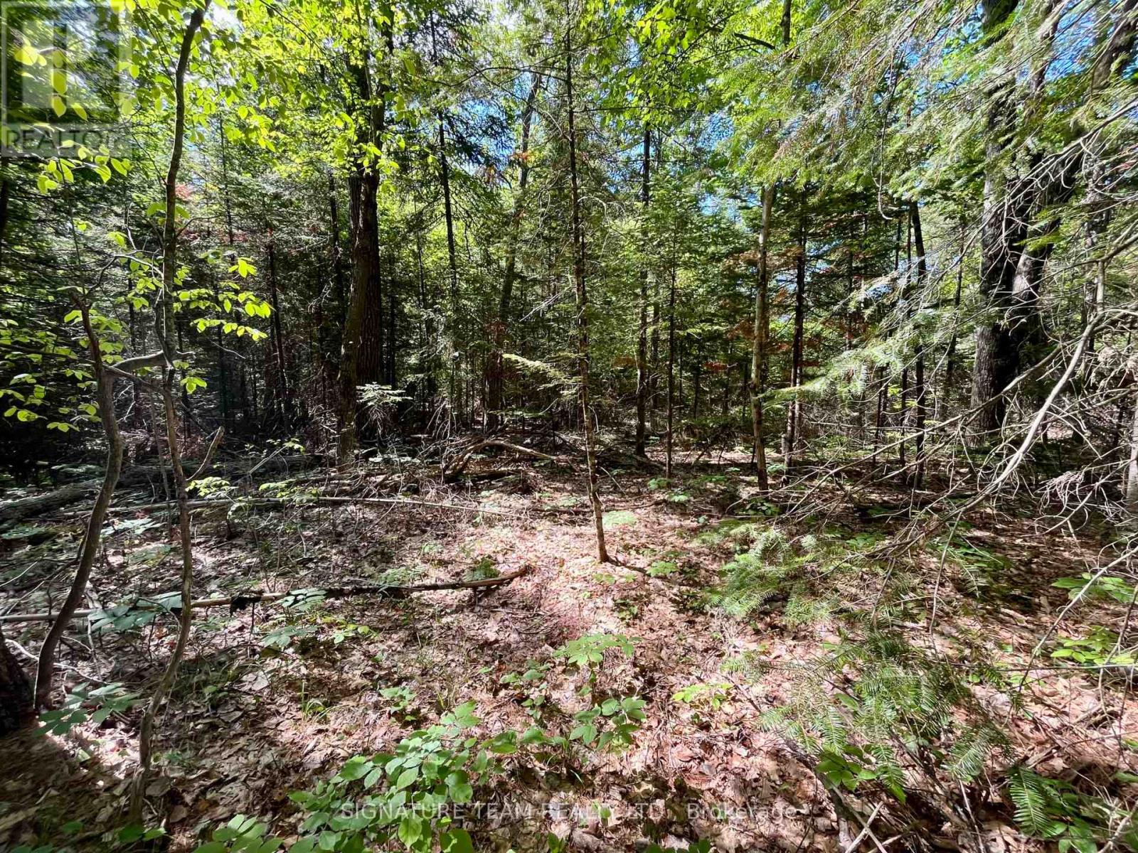 0 Foymount Road, Bonnechere Valley, Ontario  K0J 1T0 - Photo 12 - X13067306