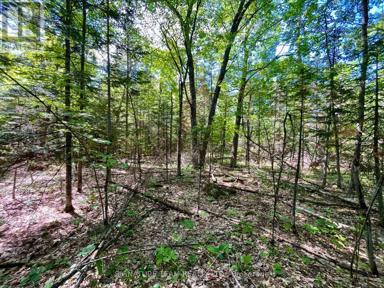 0 Foymount Road, Bonnechere Valley, Ontario  K0J 1T0 - Photo 13 - X13067306