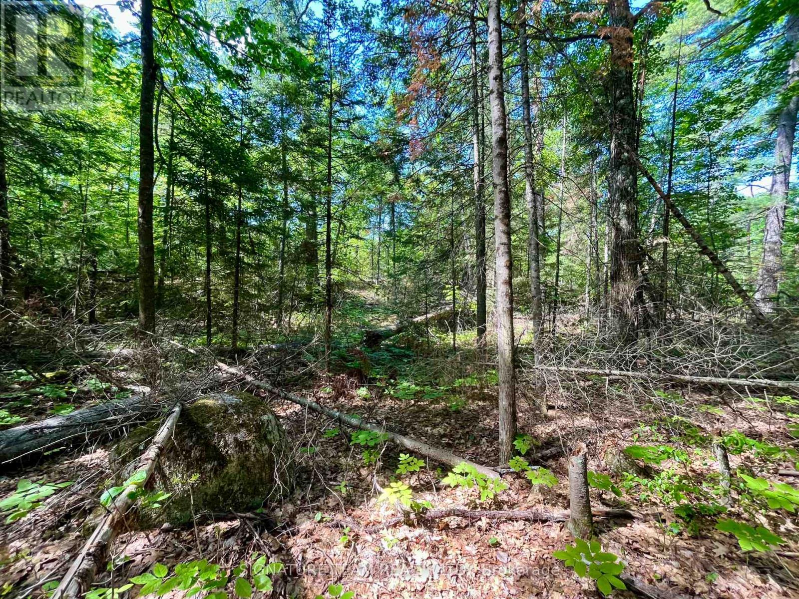 0 Foymount Road, Bonnechere Valley, Ontario  K0J 1T0 - Photo 10 - X13067306