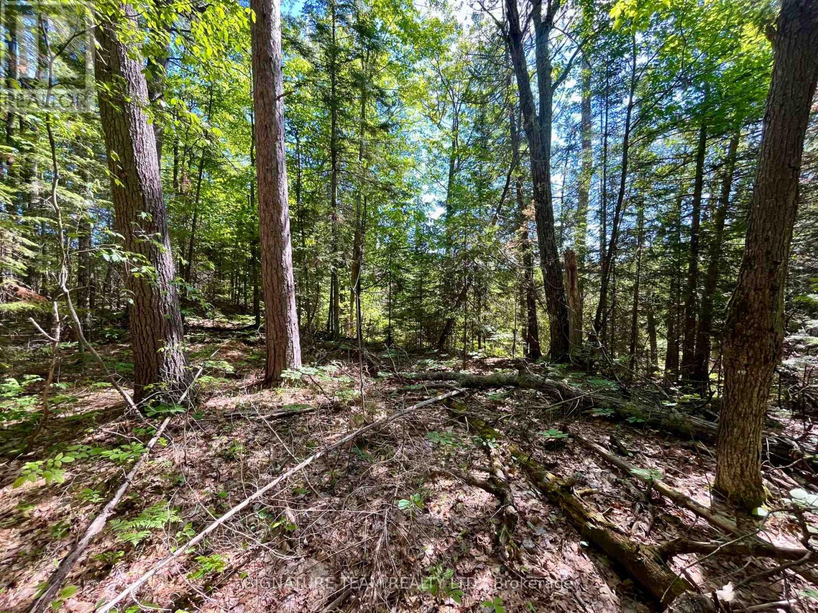 0 Foymount Road, Bonnechere Valley, Ontario  K0J 1T0 - Photo 6 - X13067306