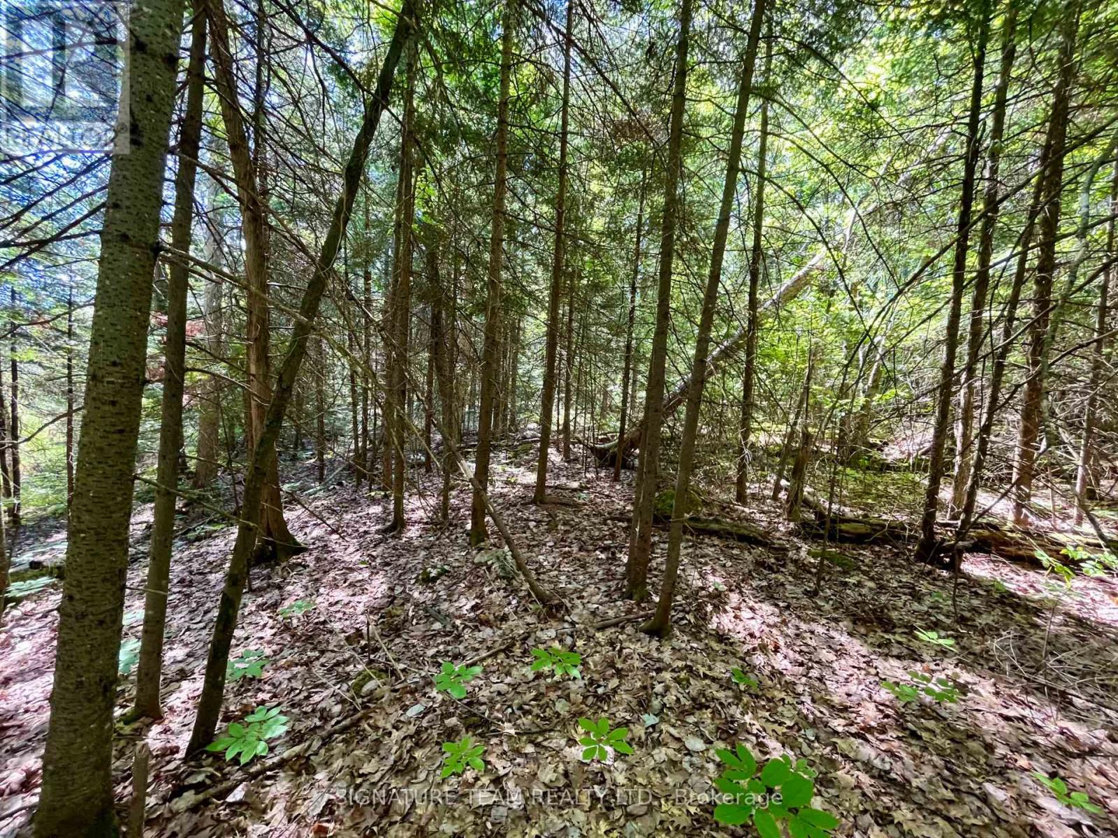 0 Foymount Road, Bonnechere Valley, Ontario  K0J 1T0 - Photo 7 - X13067306