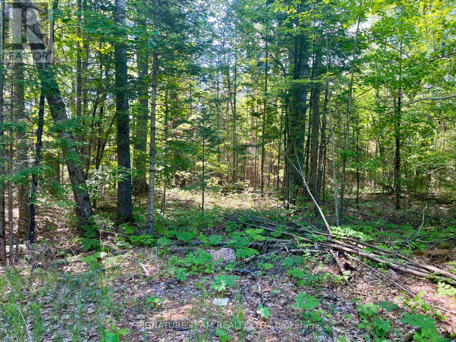 0 Foymount Road, Bonnechere Valley, Ontario  K0J 1T0 - Photo 17 - X13067306