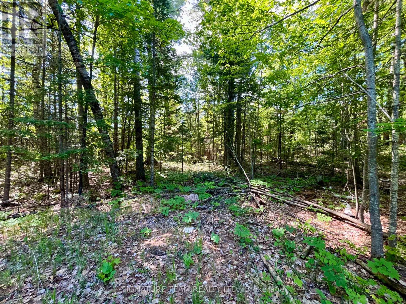 0 Foymount Road, Bonnechere Valley, Ontario  K0J 1T0 - Photo 16 - X13067306