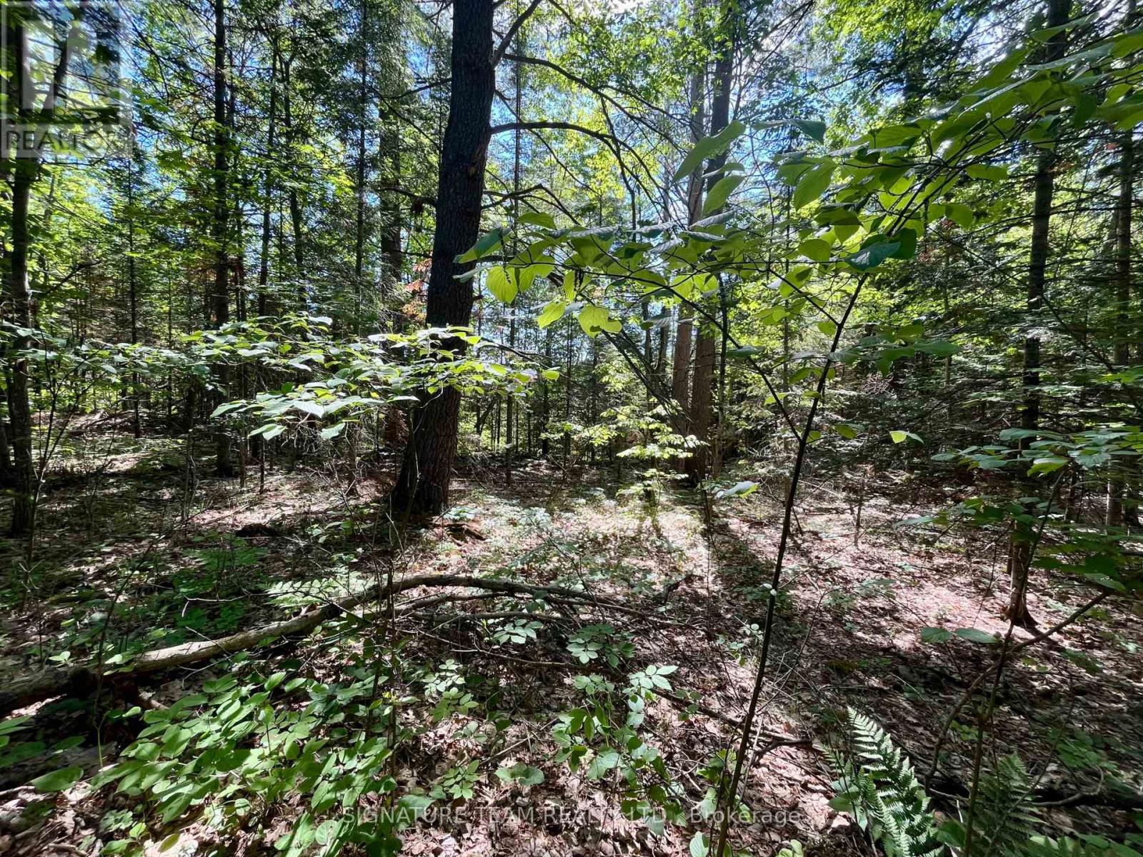 0 Foymount Road, Bonnechere Valley, Ontario  K0J 1T0 - Photo 14 - X13067306