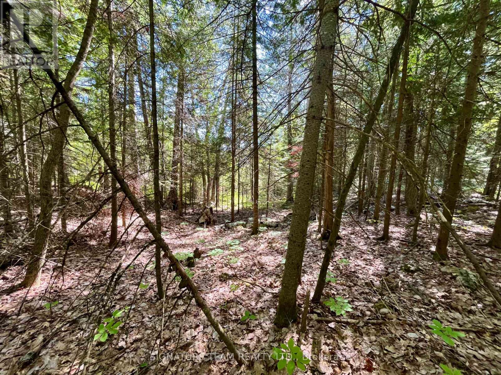 0 Foymount Road, Bonnechere Valley, Ontario  K0J 1T0 - Photo 8 - X13067306