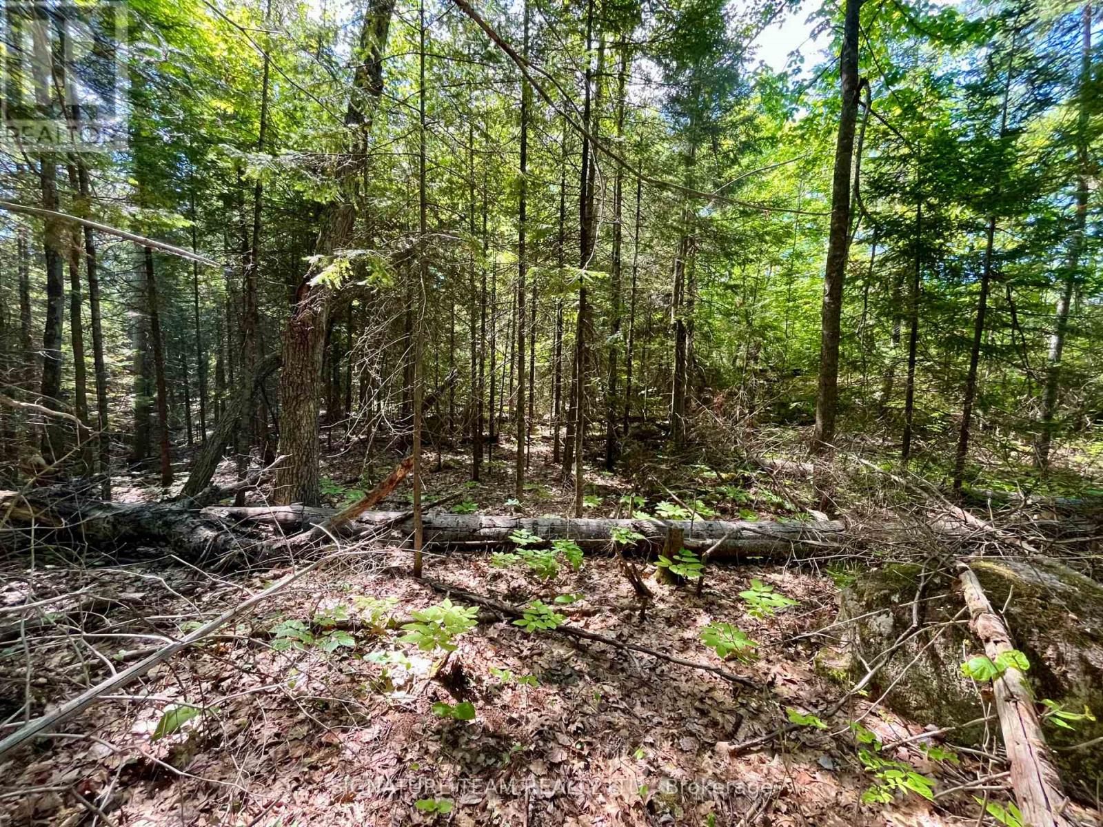 0 Foymount Road, Bonnechere Valley, Ontario  K0J 1T0 - Photo 9 - X13067306