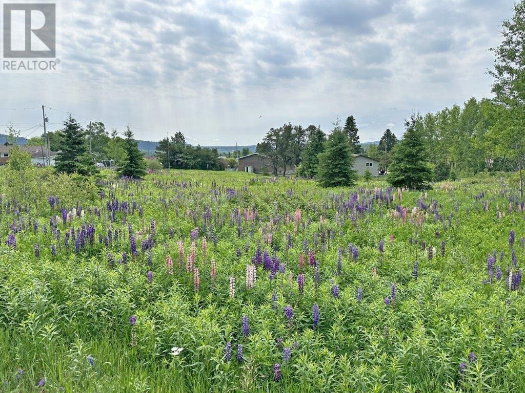 Pt Lt 13 Mckirdy Avenue, Nipigon, Ontario  P0T 2J0 - Photo 15 - TB2601434