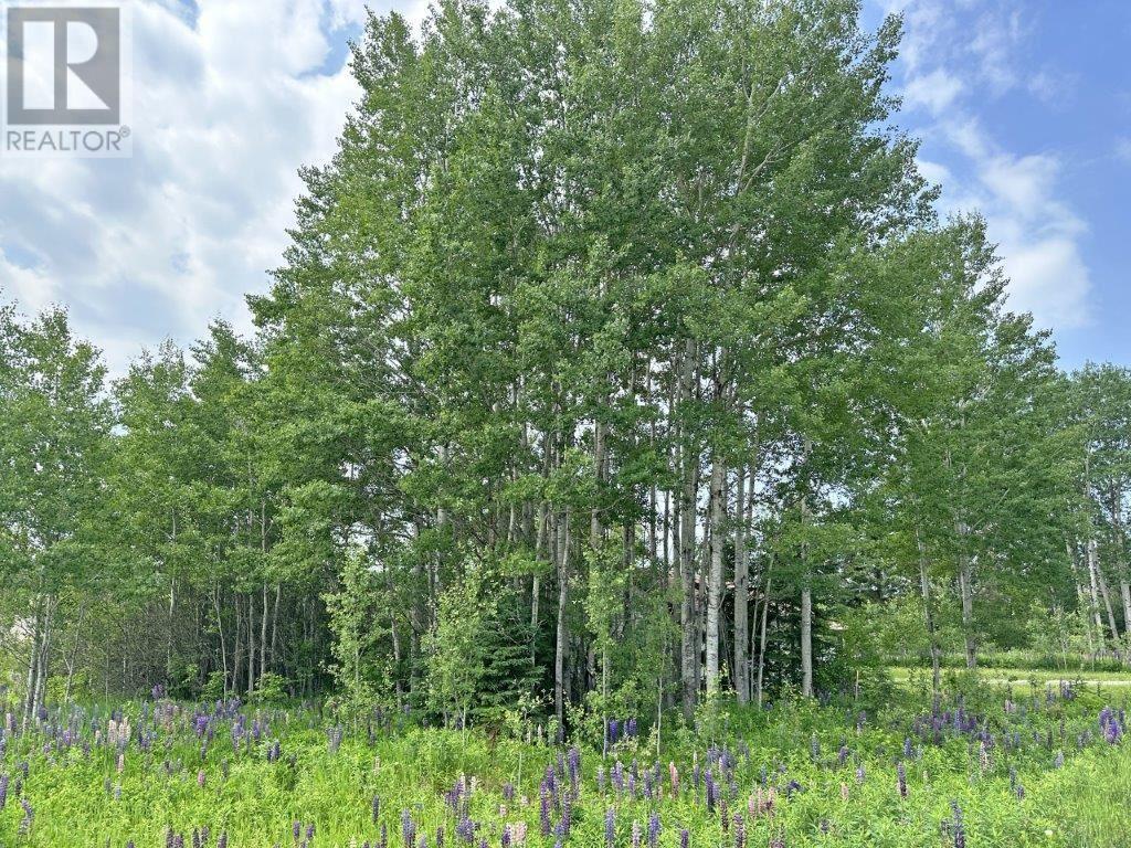 Pt Lt 13 Mckirdy Avenue, Nipigon, Ontario  P0T 2J0 - Photo 17 - TB2601434